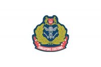 sg-customs-logo
